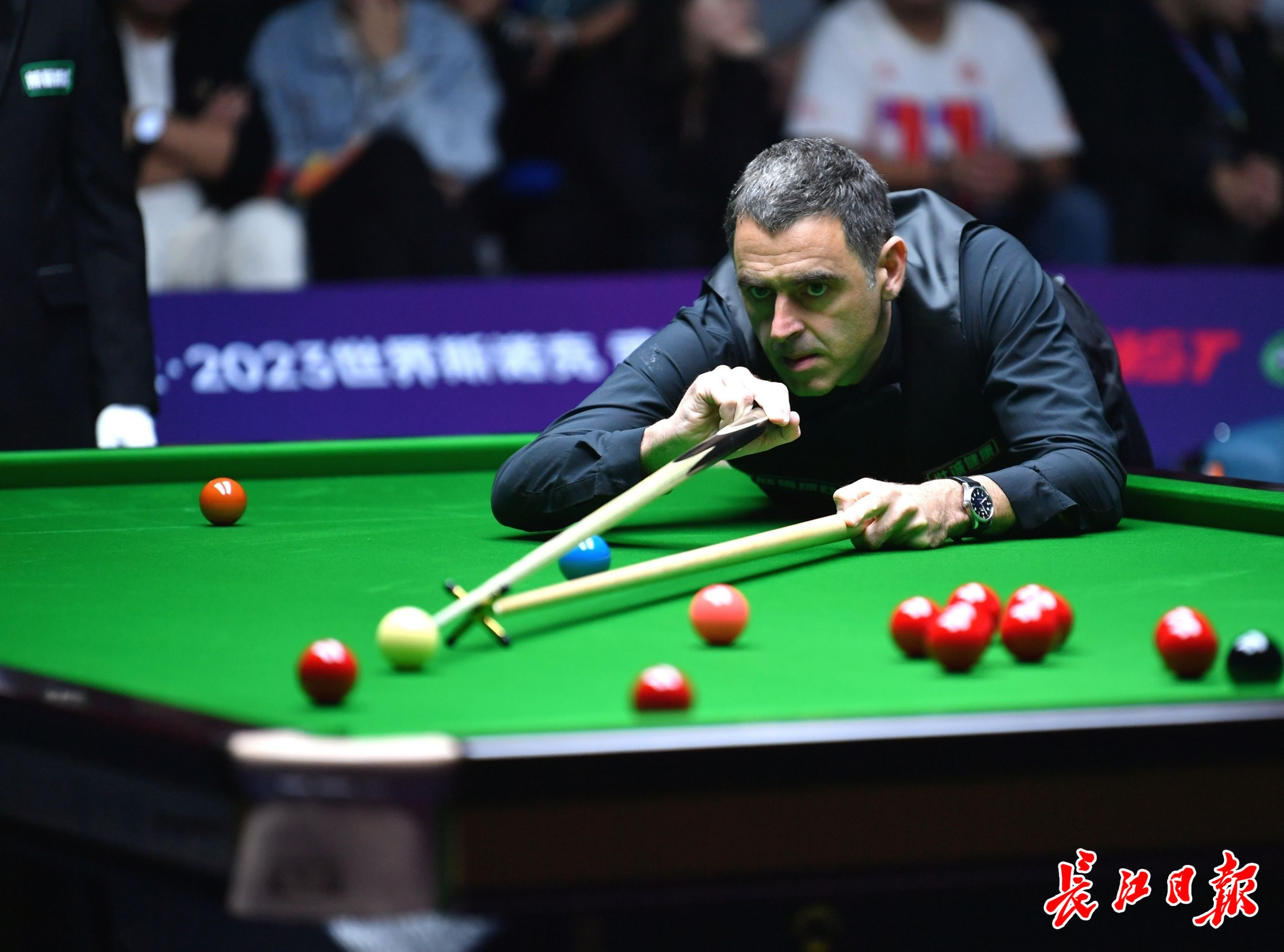 从而导致体 从而导致体